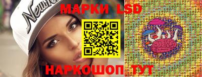 прущие крисы Камышлов